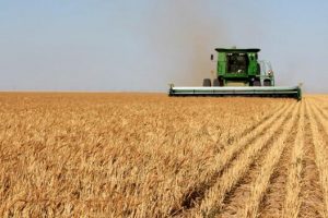 5-Year Agriculture Census Signals Challenges for American Farming