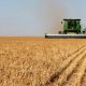 5-Year Agriculture Census Signals Challenges for American Farming