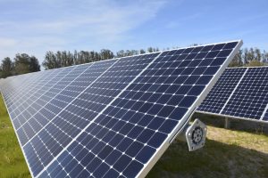 CASE Op-ed – Issues & Insights: Note To Congress: Do Not Try To Rescue The Solar Industry