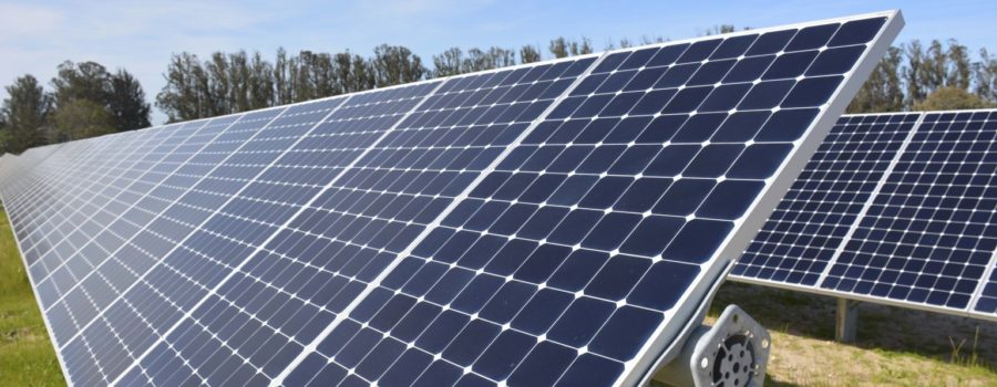 CASE Op-ed – Issues & Insights: Note To Congress: Do Not Try To Rescue The Solar Industry