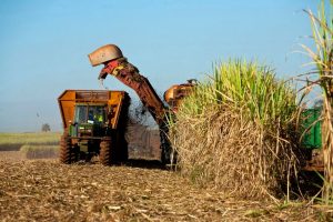 CASE Op-Ed – Issues & Insights: What Joe Biden’s Team Could Mean For U.S. Sugar Growers And Unfair Subsidies