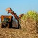 CASE Op-Ed – Issues & Insights: What Joe Biden’s Team Could Mean For U.S. Sugar Growers And Unfair Subsidies