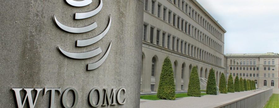 Next on the WTO’s Agenda: Attacking Medical Innovation, Again