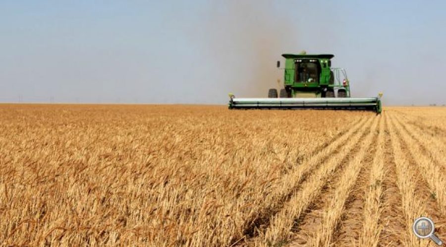 5-Year Agriculture Census Signals Challenges for American Farming