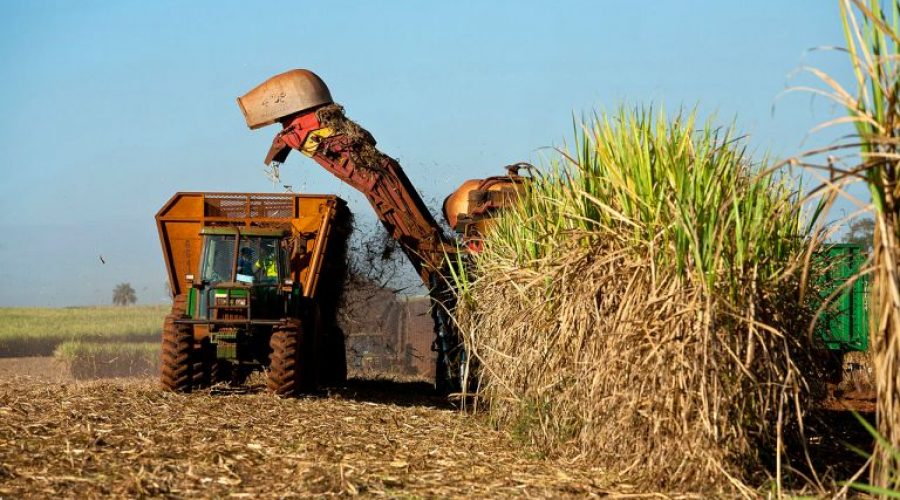 CASE Op-Ed – Issues & Insights: What Joe Biden’s Team Could Mean For U.S. Sugar Growers And Unfair Subsidies