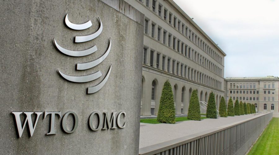 Next on the WTO’s Agenda: Attacking Medical Innovation, Again